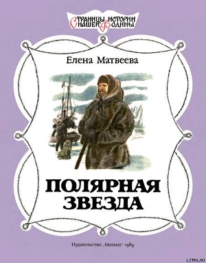 Полярная звезда - Матвеева Елена Александровна