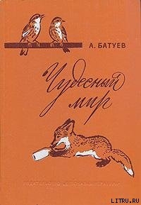 Чудесный мир - Батуев Андрей Михайлович