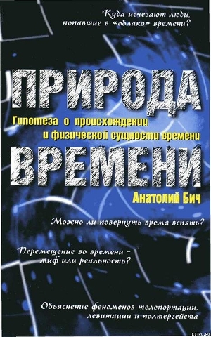 Природа времени: Гипотеза о происхождении и физической сущности времени - Бич Анатолий Макарович