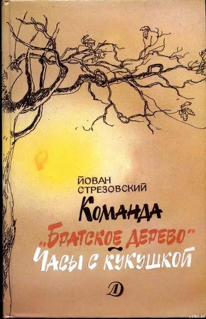 Команда «Братское дерево». Часы с кукушкой — Стрезовский Йован