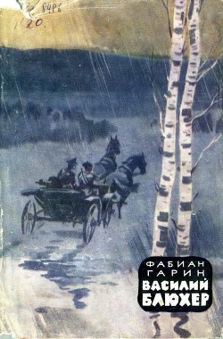 Василий Блюхер. Книга 1 — Гарин Фабиан Абрамович