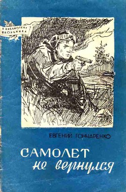 Самолет не вернулся - Гончаренко Евгений Иванович