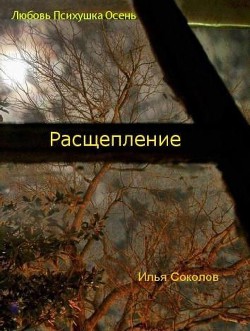 Расщепление - Соколов Илья