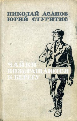 Чайки возвращаются к берегу. Книга 2 - Стуритис Юрий Васильевич