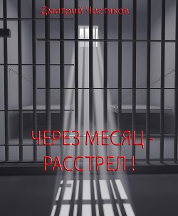 Через месяц - расстрел - Чистяков Дмитрий Сергеевич