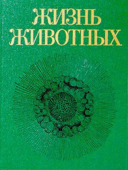 Жизнь животных. Том первый. Простейшие, кишечнополостные, черви - Лукин Ефим Иудович