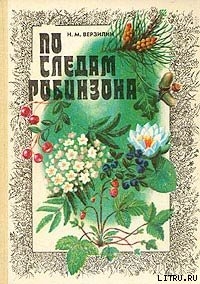 По следам Робинзона - Верзилин Николай Михайлович