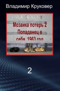 Попаданец в себя, 1963 год (СИ) - Круковер Владимир Исаевич