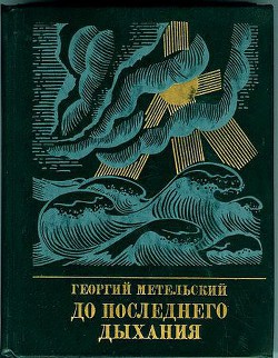 До последнего дыхания. Повесть об Иване Фиолетове — Метельский Георгий Васильевич