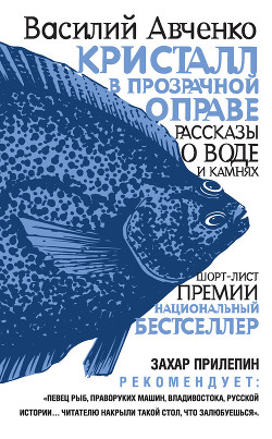 Кристалл в прозрачной оправе. Рассказы о воде и камнях - Авченко Василий Олегович