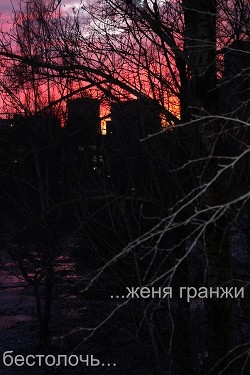 Бестолочь (СИ) — Гранжи Женя