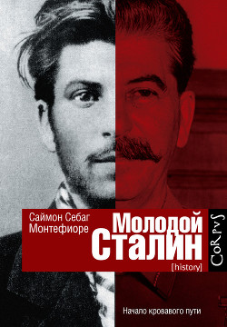 Молодой Сталин - Себаг-Монтефиоре Саймон Джонатан