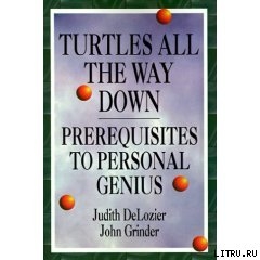 Черепахи до самого низа. Предпосылки личной гениальности - Делозье Джудит