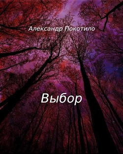 Выбор (СИ) - Покотило Александр