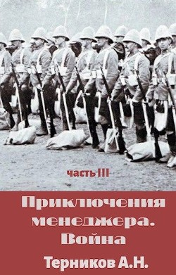 Приключения менеджера. Война (СИ) - Терников Александр Николаевич