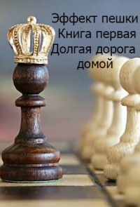 Эффект пешки. Книга первая. Долгая дорога домой (СИ) - Софроний Валерий Иванович