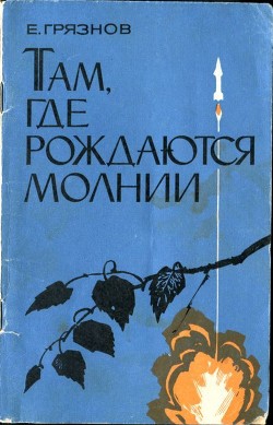 Там, где рождаются молнии — Грязнов Евгений Николаевич