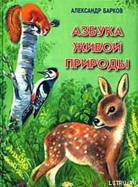 Беличий порядок — Барков Александр Сергеевич