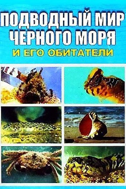 Подводный мир Черного моря - Искив Евгения П.