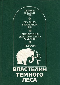 Властелин Темного Леса - Вейнланд В. (Давид) Ф. (Фридрих)