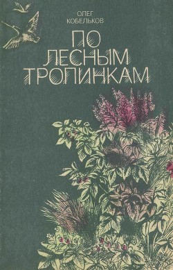 По лесным тропинкам - Кобельков Олег Константинович