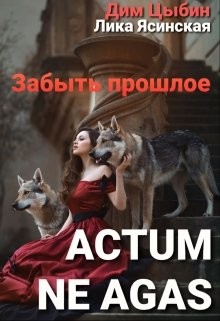 Actum ne agas. Забыть прошлое (СИ) - Цыбин Дим