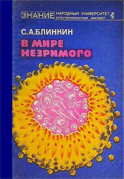 В мире незримого - Блинкин Семен Александрович