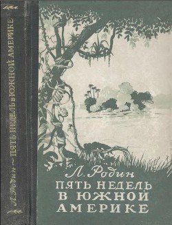 Пять недель в Южной Америке - Родин Леонид Ефимович