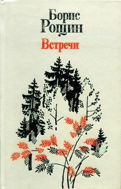 Встречи - Рощин Борис Алексеевич