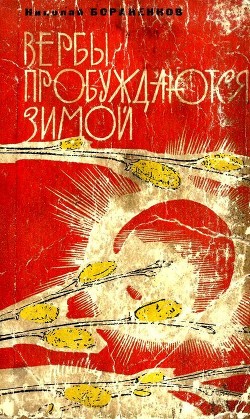 Вербы пробуждаются зимой — Бораненков Николай Егорович