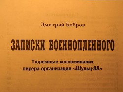 Записки военнопленного (СИ) - Бобров Дмитрий