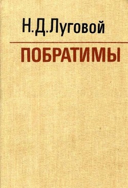 Побратимы - Луговой Николай Дмитриевич