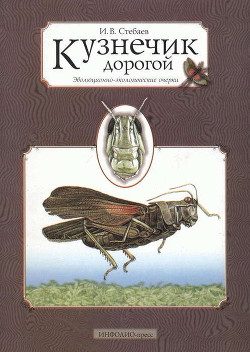 Кузнечик дорогой. Эволюционно-экологические очерки - Стебаев Игорь Васильевич