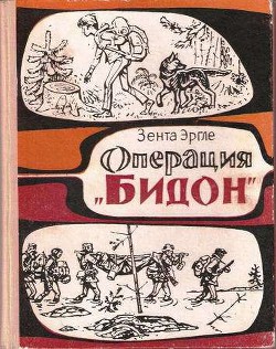 Операция Бидон — Эргле Зента