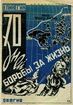 70 дней борьбы за жизнь  - Пинегин Николай Васильевич