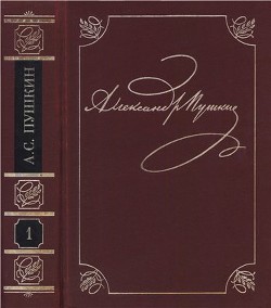 Замечания о бунте — Пушкин Александр Сергеевич