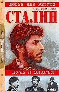 Сталин. Путь к власти - Емельянов Юрий Васильевич