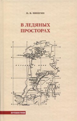 В ледяных просторах — Пинегин Николай Васильевич