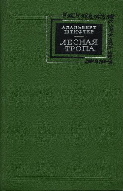 Лесная тропа - Штифтер Адальберт