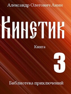 Кинетик 3 (СИ) - Анин Александр