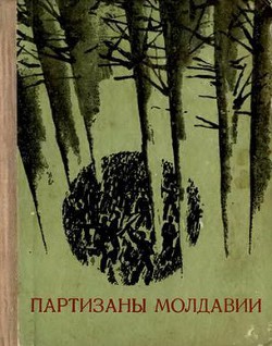 Партизаны Молдавии - Елин Дмитрий Дмитриевич