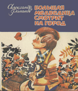Большая медведица смотрит на город — Романов Александр Александрович