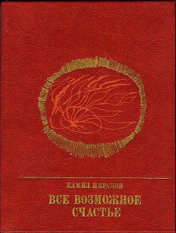 Все возможное счастье. Повесть об Амангельды Иманове - Икрамов Камил Акмалевич