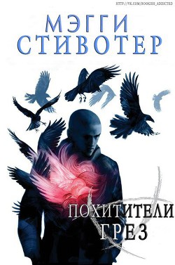 Похитители грез (ЛП) — Стивотер Мэгги