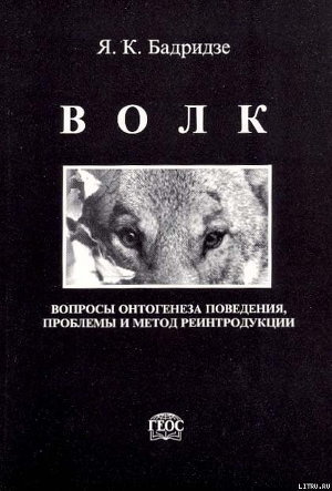 Волк. Вопросы онтогенеза поведения, проблемы и метод реинтродукции - Бадридзе Ясон Константинович