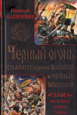 Черный огонь. Славяне против варягов и черных волхвов — Бахрошин Николай