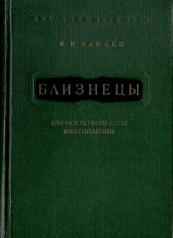 Близнецы - Канаев Иван Иванович