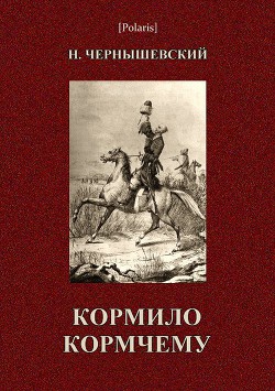 Кормило кормчему - Чернышевский Николай Гаврилович