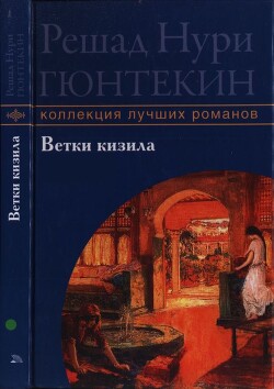 Ветки кизила — Гюнтекин Решад Нури