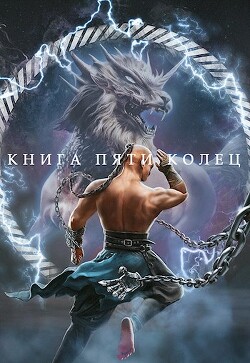 Книга пяти колец. Том 4 (СИ) - Зайцев Константин